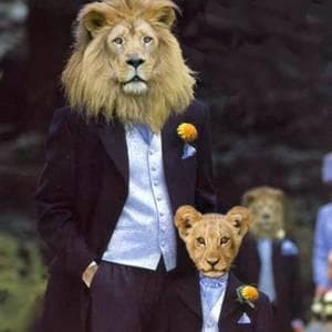 The Dandy Lions